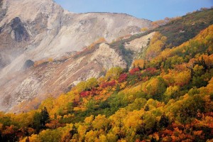 裸の山肌と紅葉