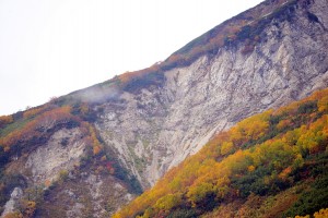 裸の山肌と紅葉