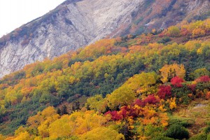 裸の山肌と紅葉
