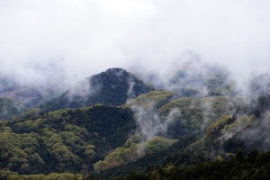 雲湧く山
