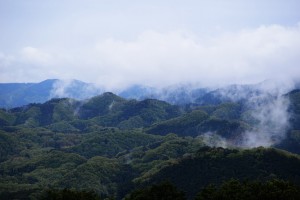 雲湧く山