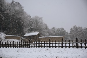 雪降る城跡
