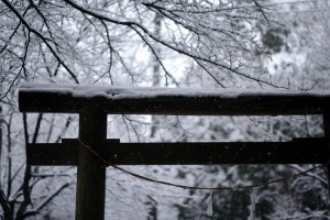 雪の神社