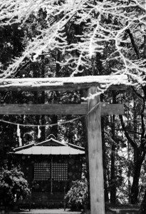 雪の神社